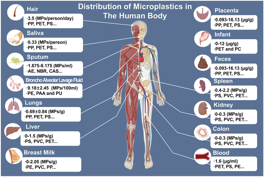 Human Microplastics